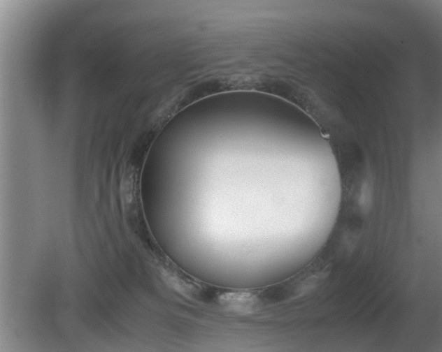 X0000080660133200612221101