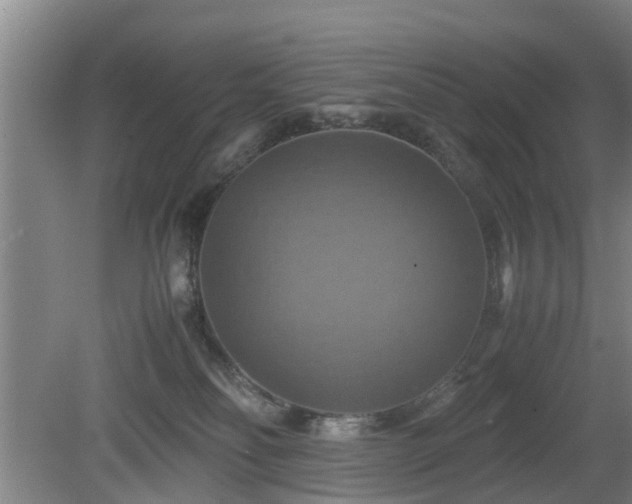 X0000080660134200612221101