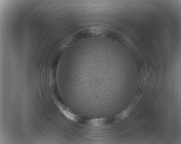 X0000080660136200612221101