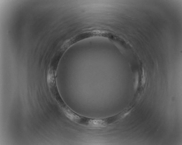 X0000080660137200612221101