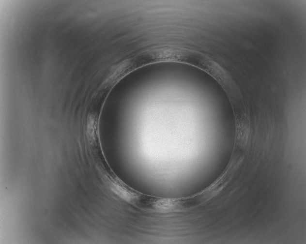 X0000080660142200612221100