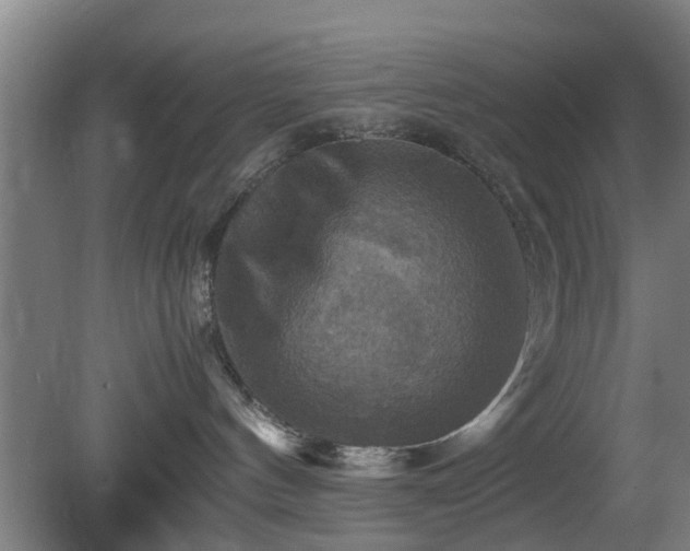 X0000080660144200612221100