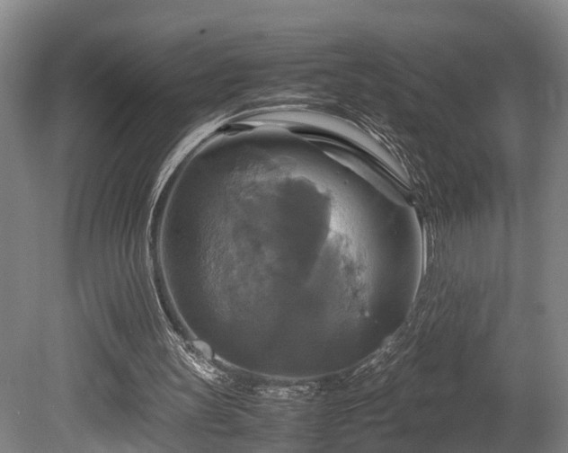 X0000080660147200612221100