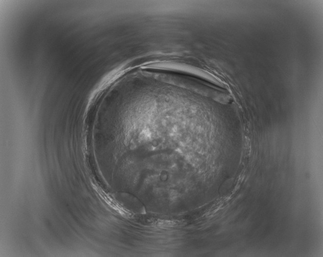 X0000080660149200612221100