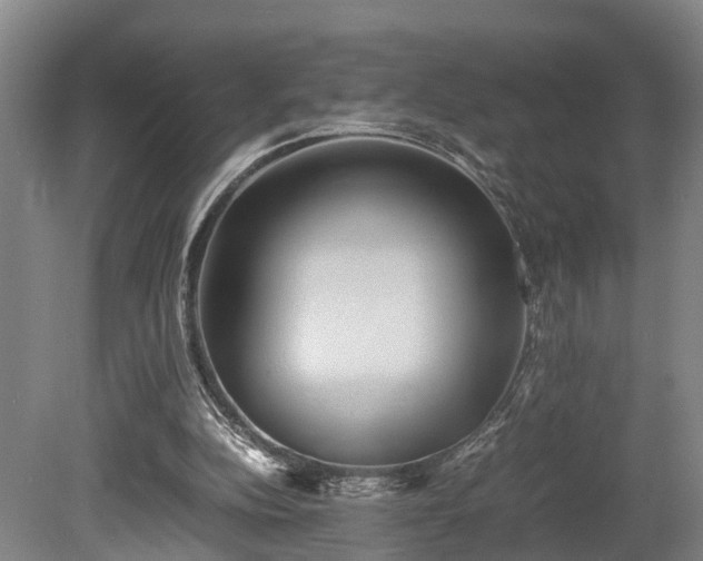 X0000080660152200612221100