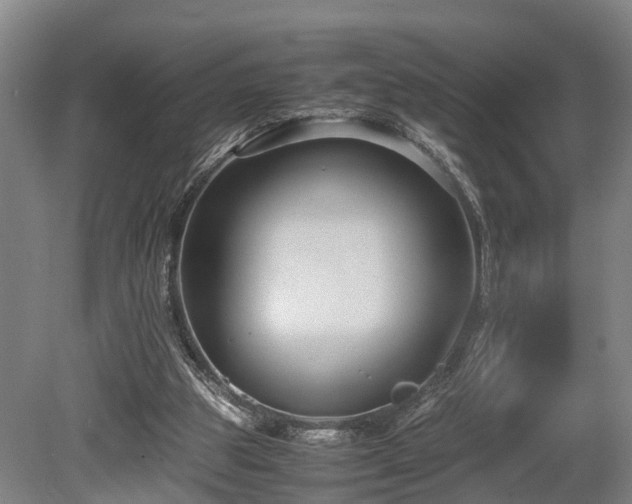 X0000080660153200612221100