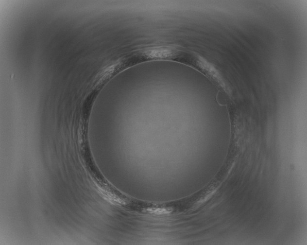 X0000080660161200612221100