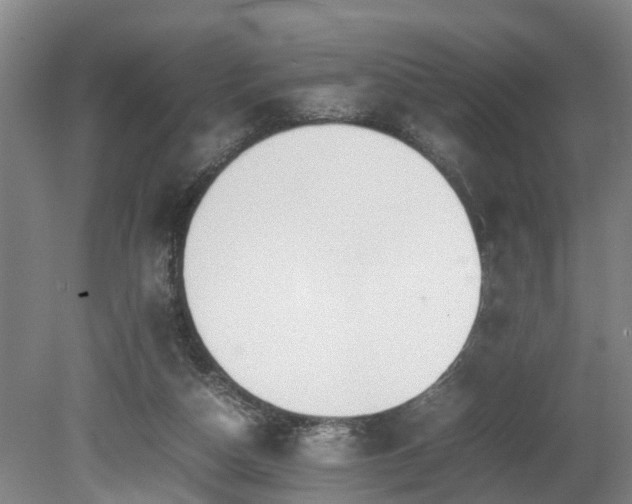 X0000080660162200612221100
