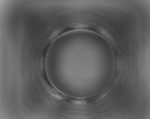 X0000080660165200612221100