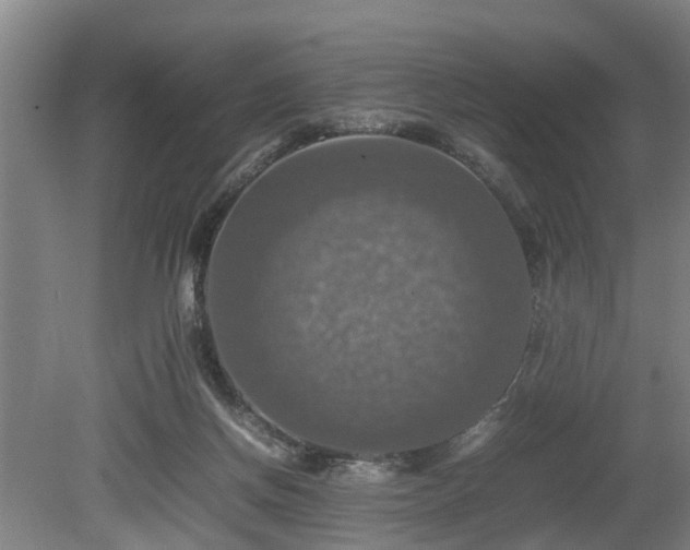 X0000080660166200612221100