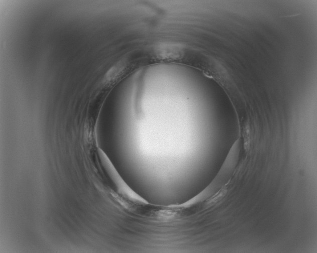X0000080660176200612221100