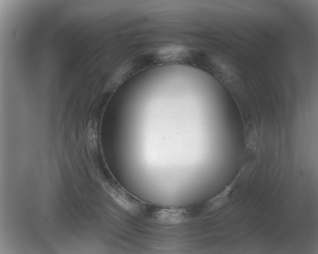 X0000080660179200612221100