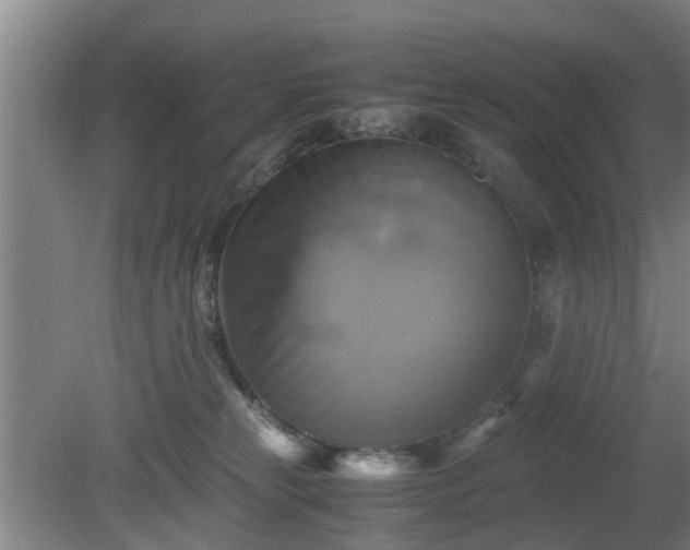 X0000080660181200612221100