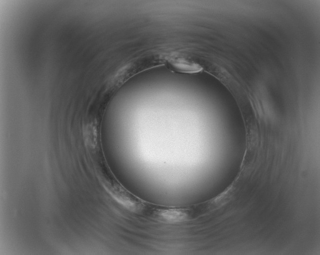 X0000080660183200612221100