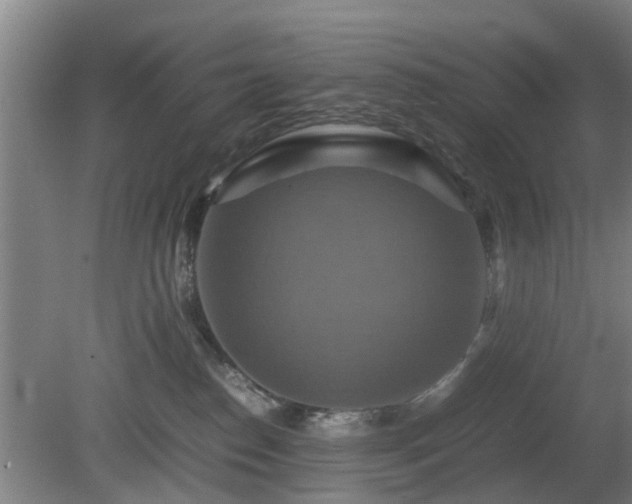 X0000080660186200612221100