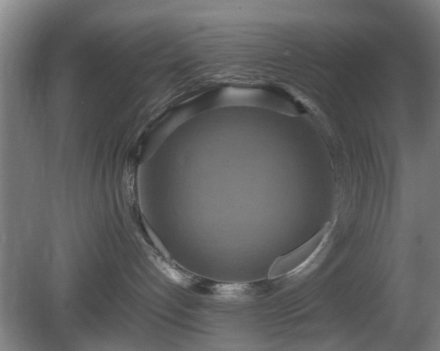 X0000080660192200612221100