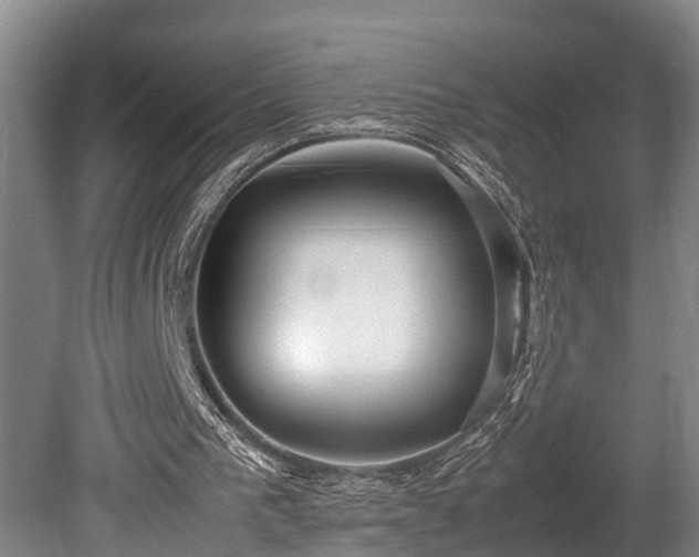 X0000080660193200612221100