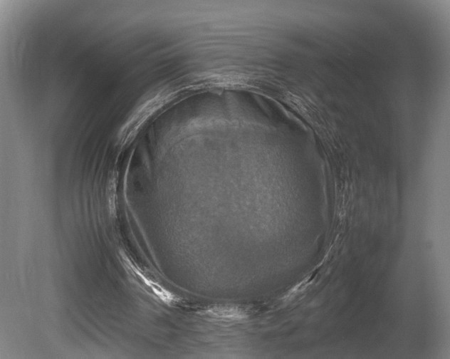 X0000080660194200612221100