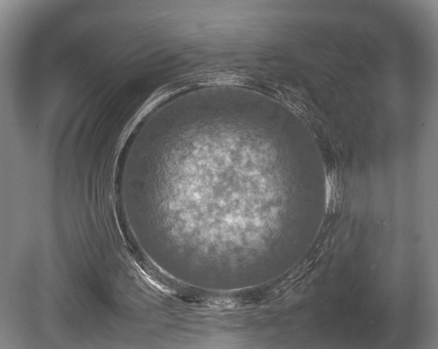 X0000080660195200612221100