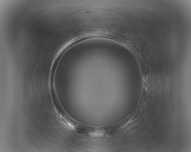 X0000080660196200612221100