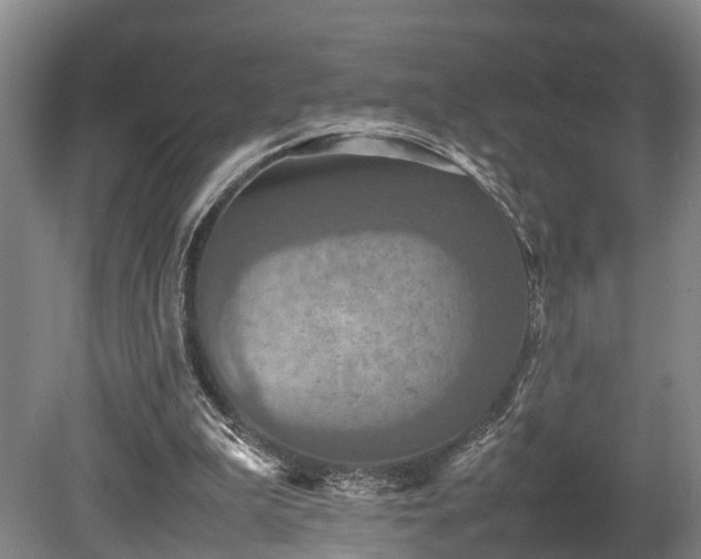 X0000080660199200612221059
