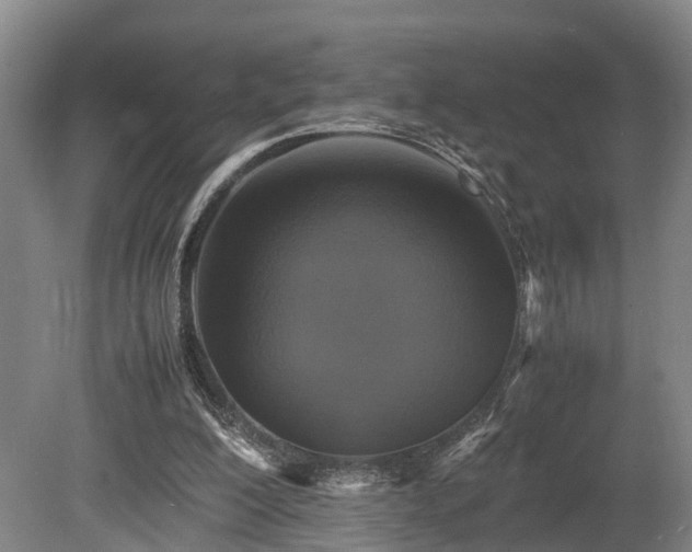 X0000080660200200612221059