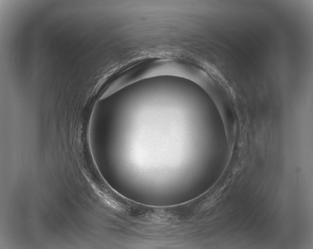 X0000080660201200612221059