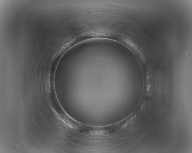 X0000080660202200612221059