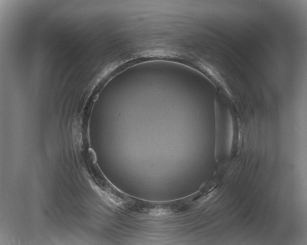 X0000080660204200612221059