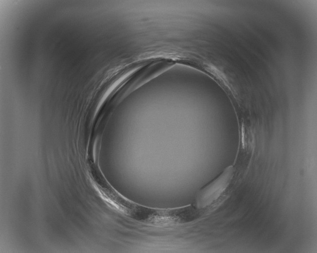 X0000080660205200612221059