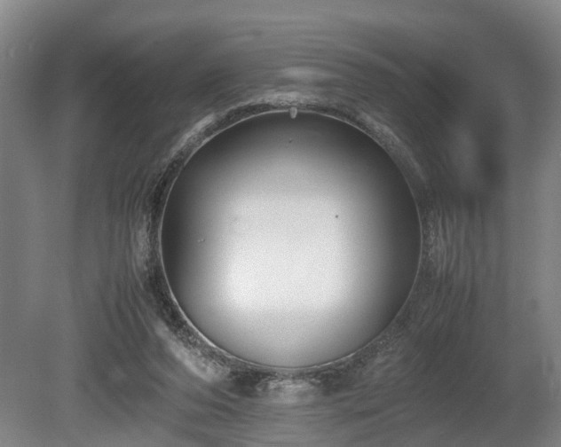X0000080660208200612221059