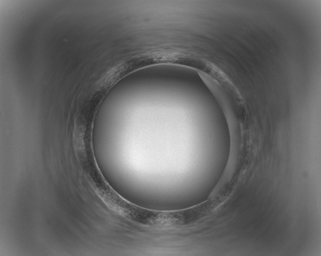 X0000080660209200612221059