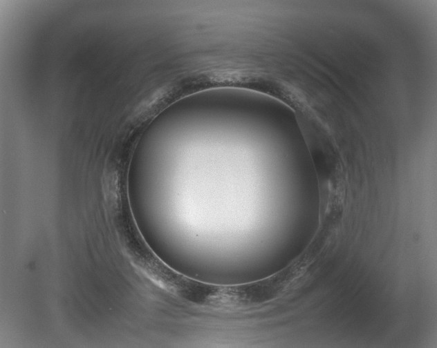 X0000080660211200612221059
