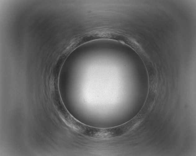 X0000080660213200612221059
