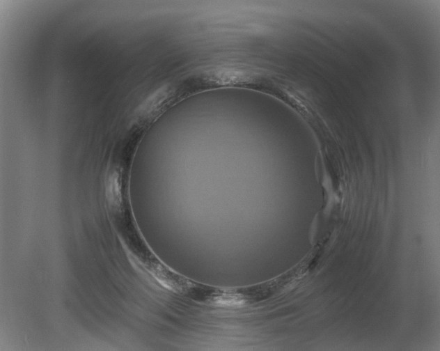 X0000080660214200612221059