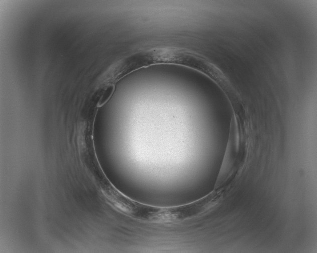 X0000080660217200612221059
