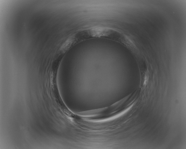 X0000080660219200612221059