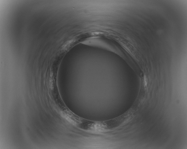 X0000080660223200612221059