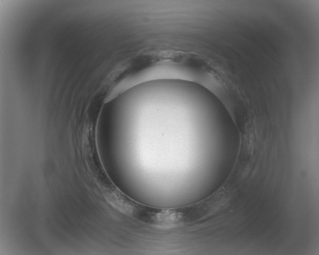 X0000080660225200612221059
