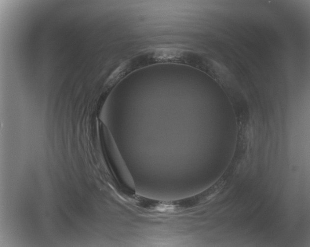X0000080660227200612221059