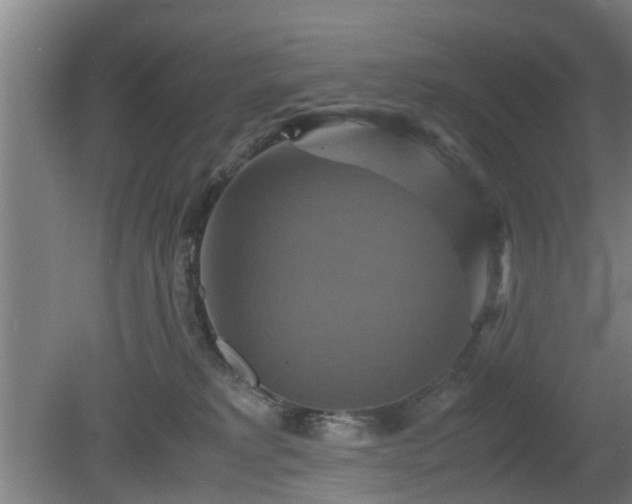 X0000080660229200612221059