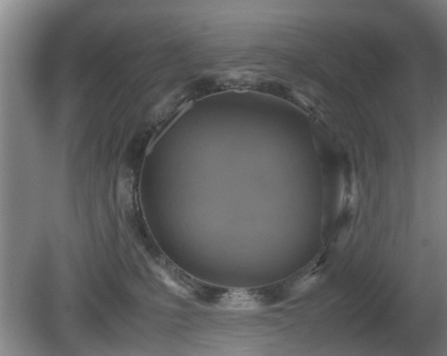 X0000080660231200612221059