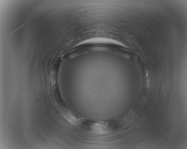 X0000080660232200612221059