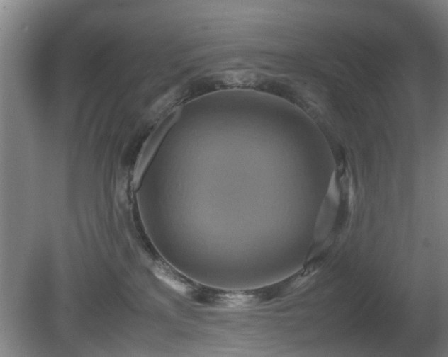 X0000080660233200612221059
