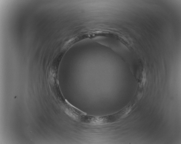 X0000080660235200612221059