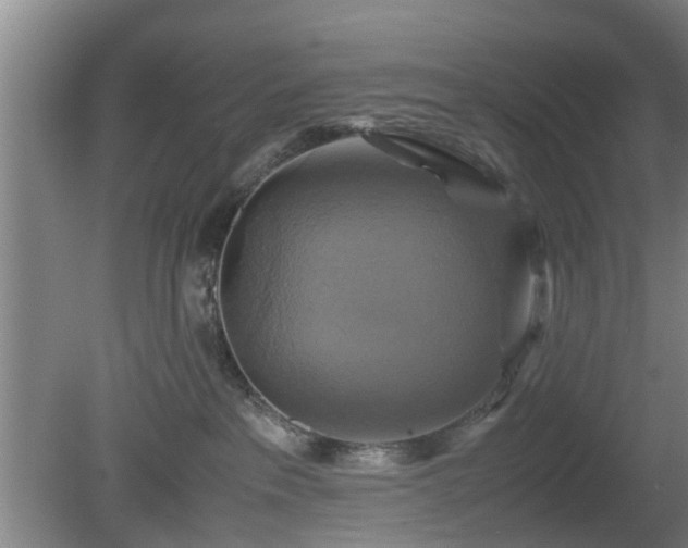 X0000080660237200612221059