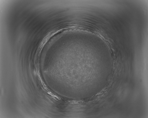 X0000080660241200612221058