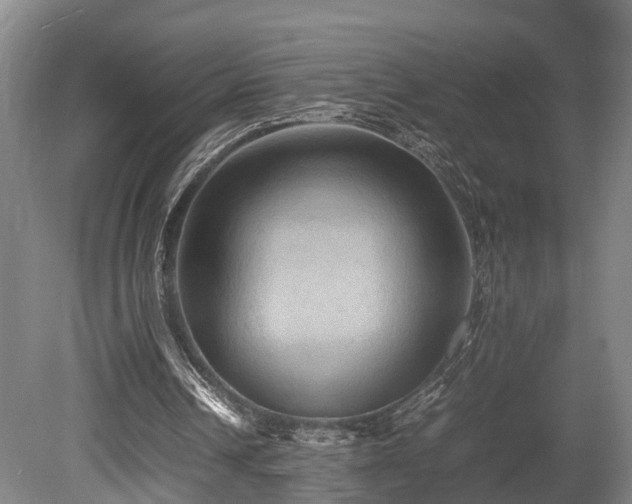 X0000080660242200612221058