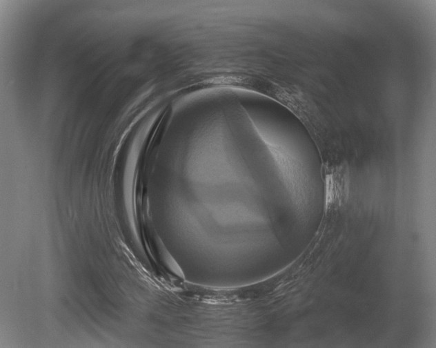 X0000080660243200612221058