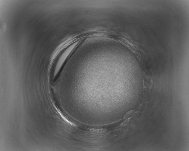 X0000080660245200612221058